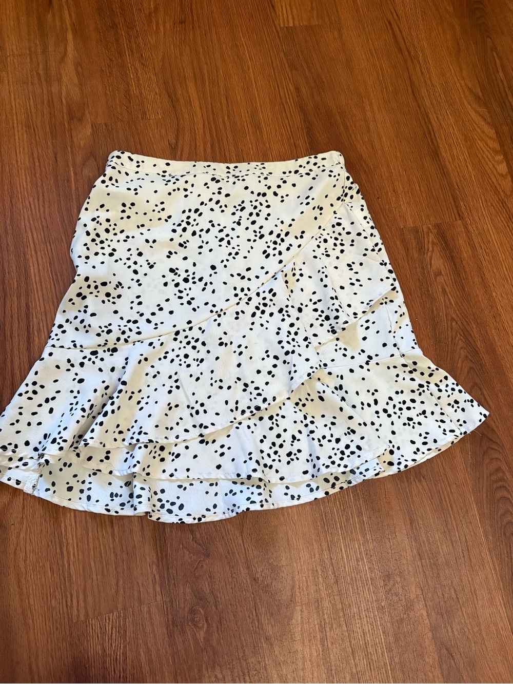 Skirt from Francesca’s